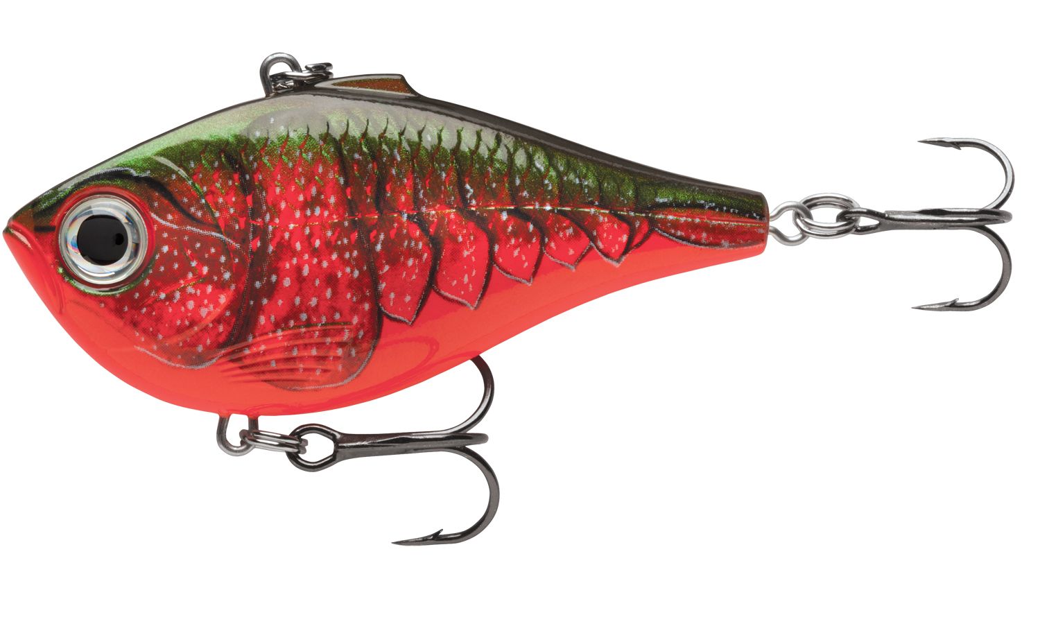 Red Crawdad