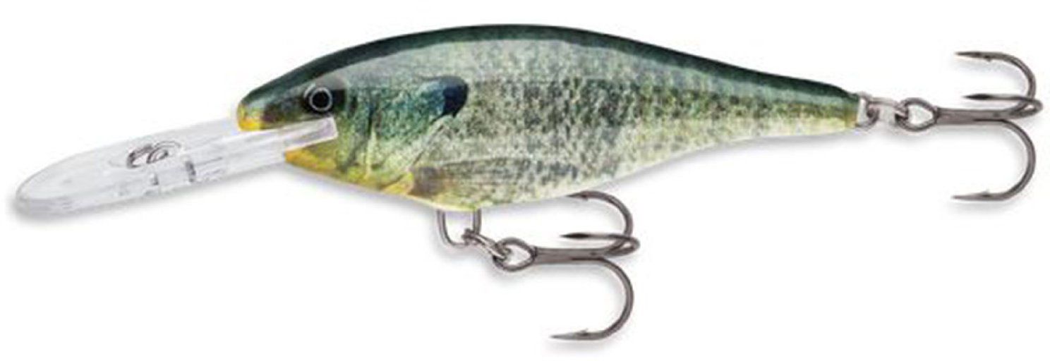 Bluegill