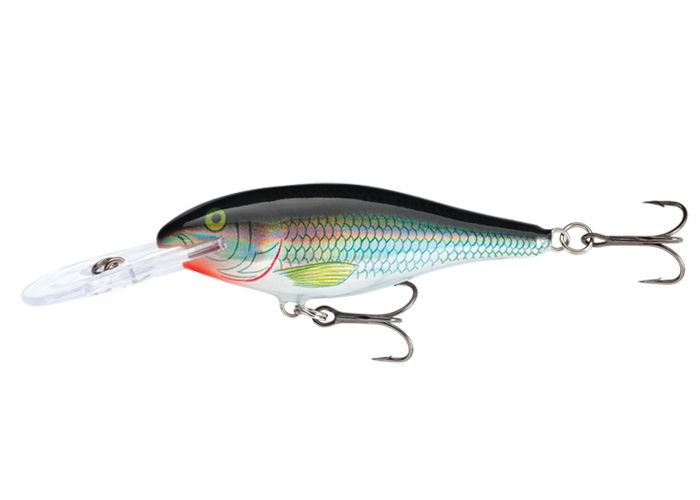 Rapala Shad Rap Crankbait