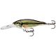 Live Largemouth Bass