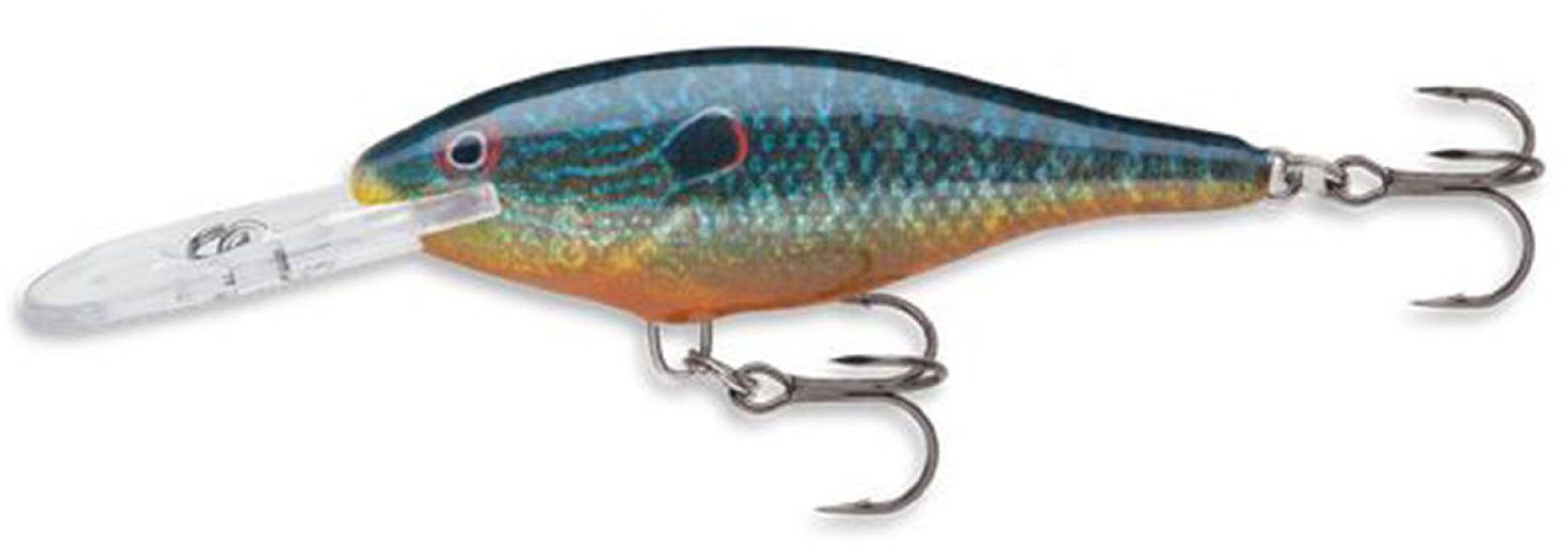 Live Pumpkinseed