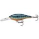 Live Pumpkinseed