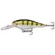 Yellow Perch