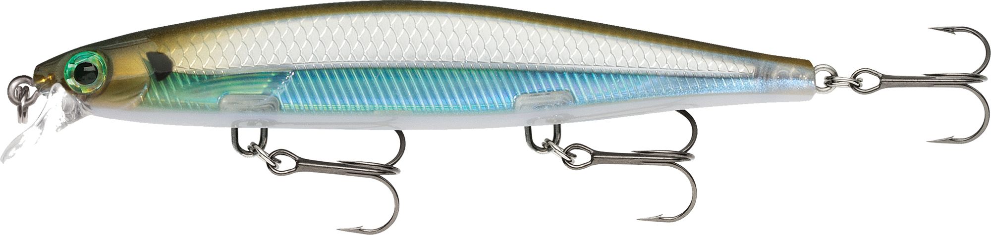 Moss Back Shiner