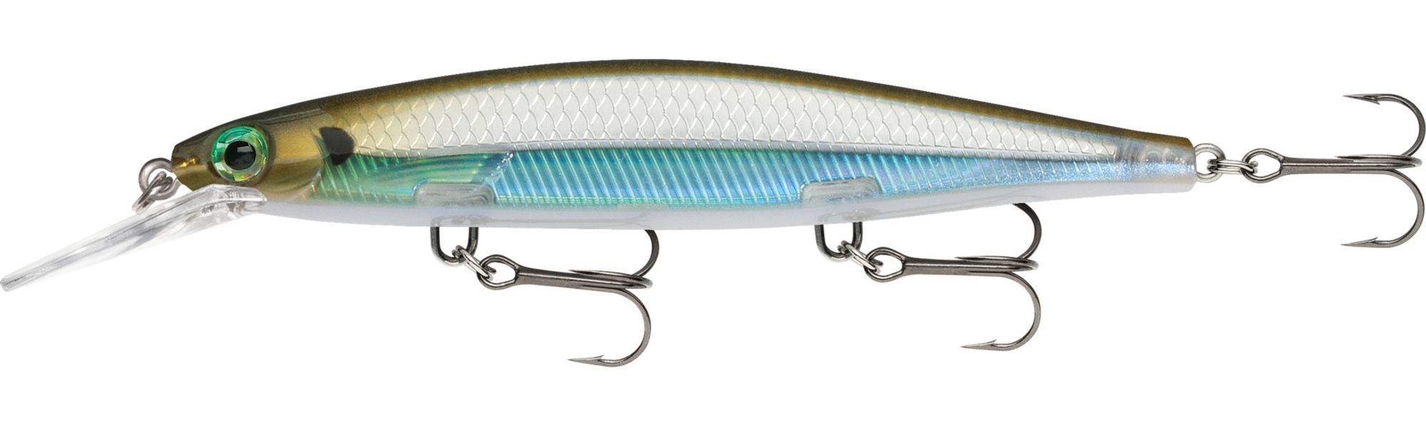 Moss Back Shiner
