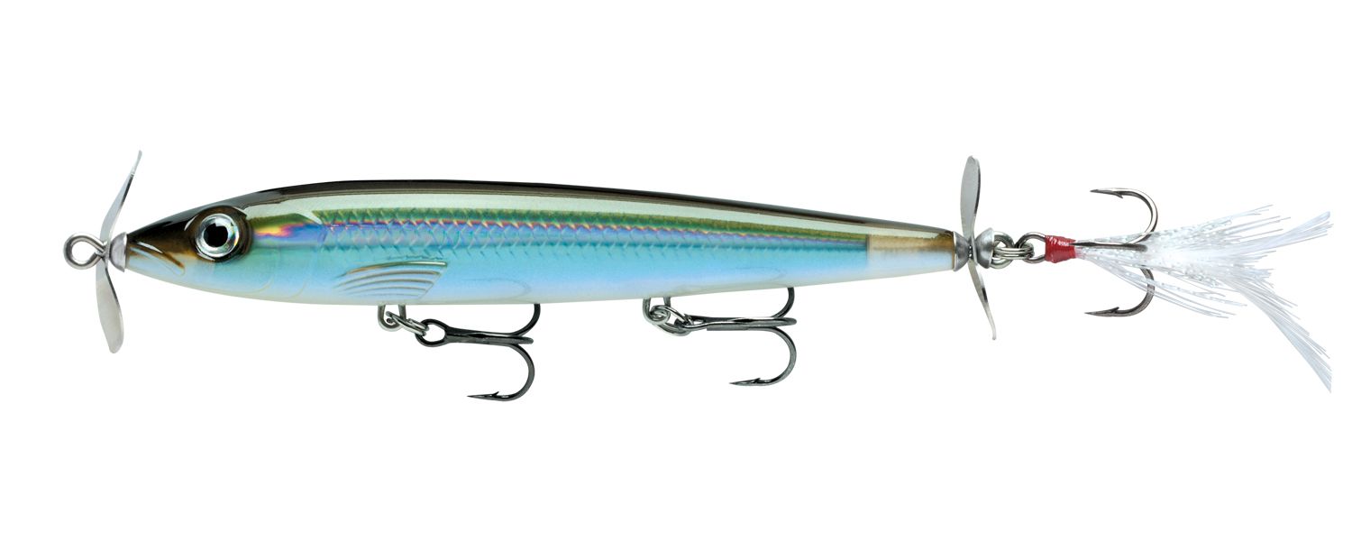 Moss Back Shiner