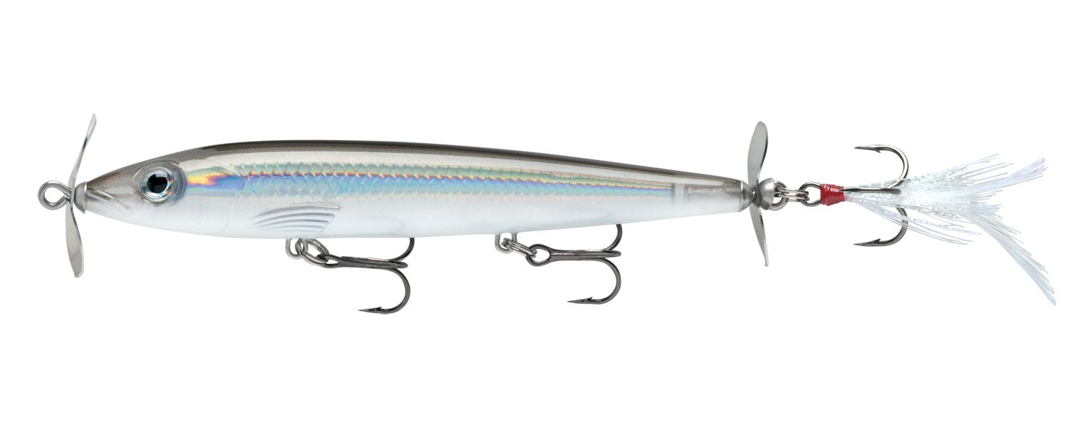 Pearl Grey Shiner
