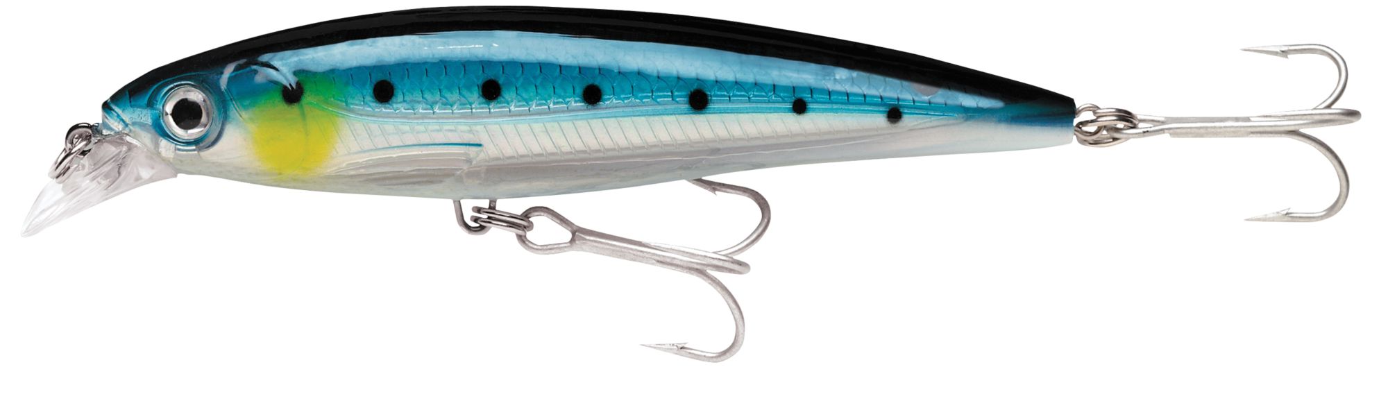 Blue Sardine