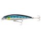Blue Sardine