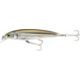 Mangrove Minnow