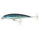 Silver Blue Mackerel