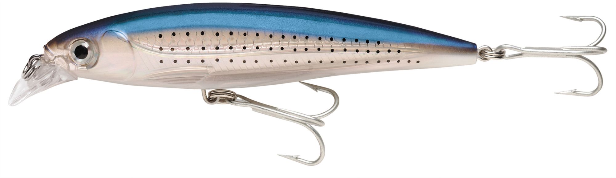Spotted Minnow