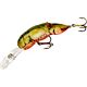 Stream Crawfish
