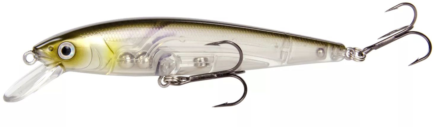 Clearwater Minnow
