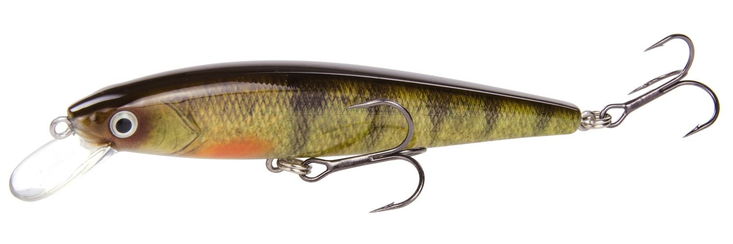 Yellow Perch