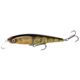 Yellow Perch