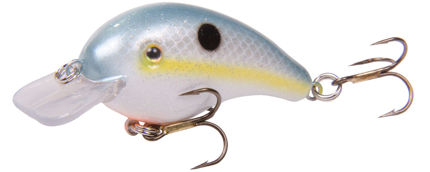 Sexy Shad