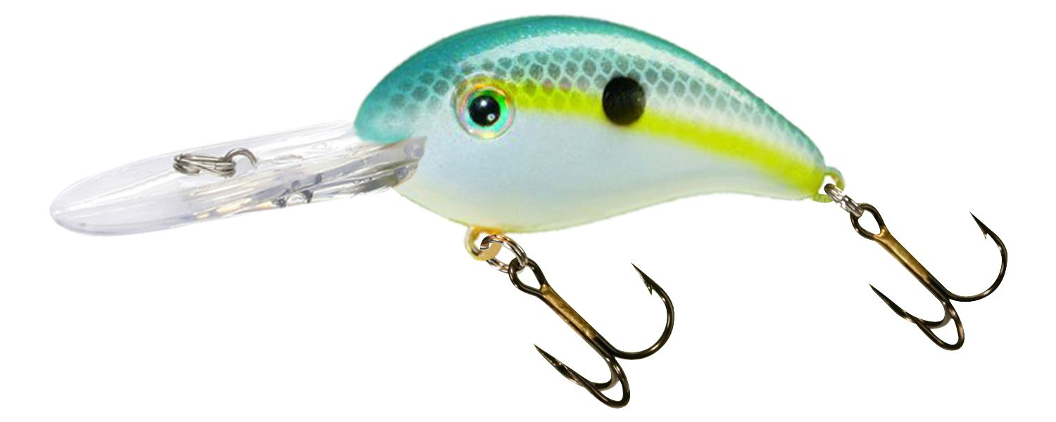 Sexy Shad