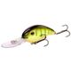 Chartreuse Perch