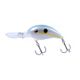 Sexy Shad