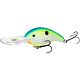 Citrus Shad