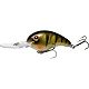 Yellow Perch