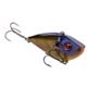 Bluegill