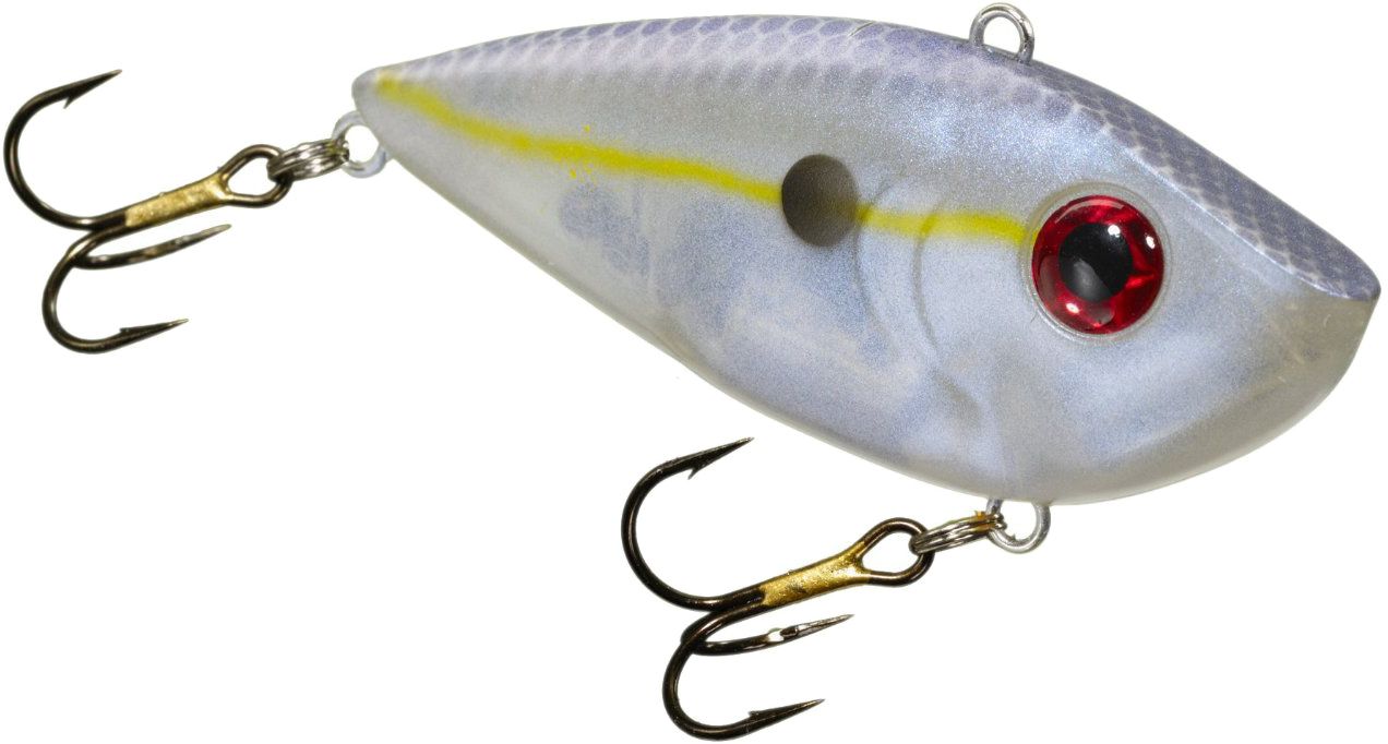 Chartreuse Shad
