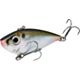 Natural Shad