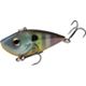 Neon Bluegill
