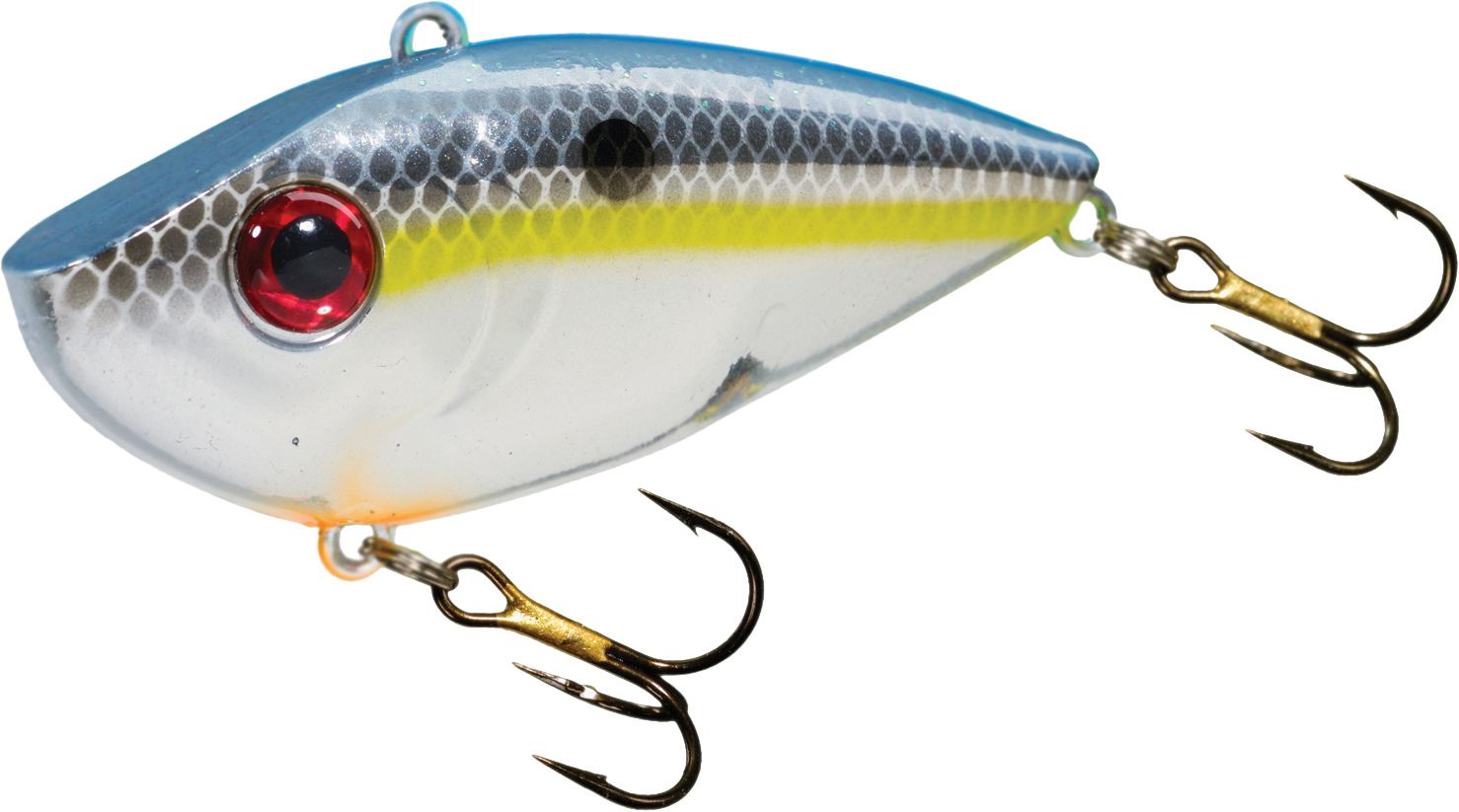 Sexy Shad