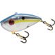 Sexy Shad