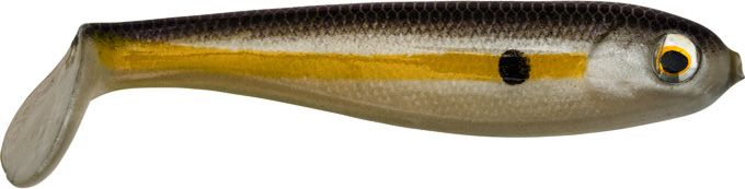 Chartreuse Shad