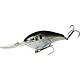 Natural Shad