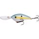 Sexy Shad