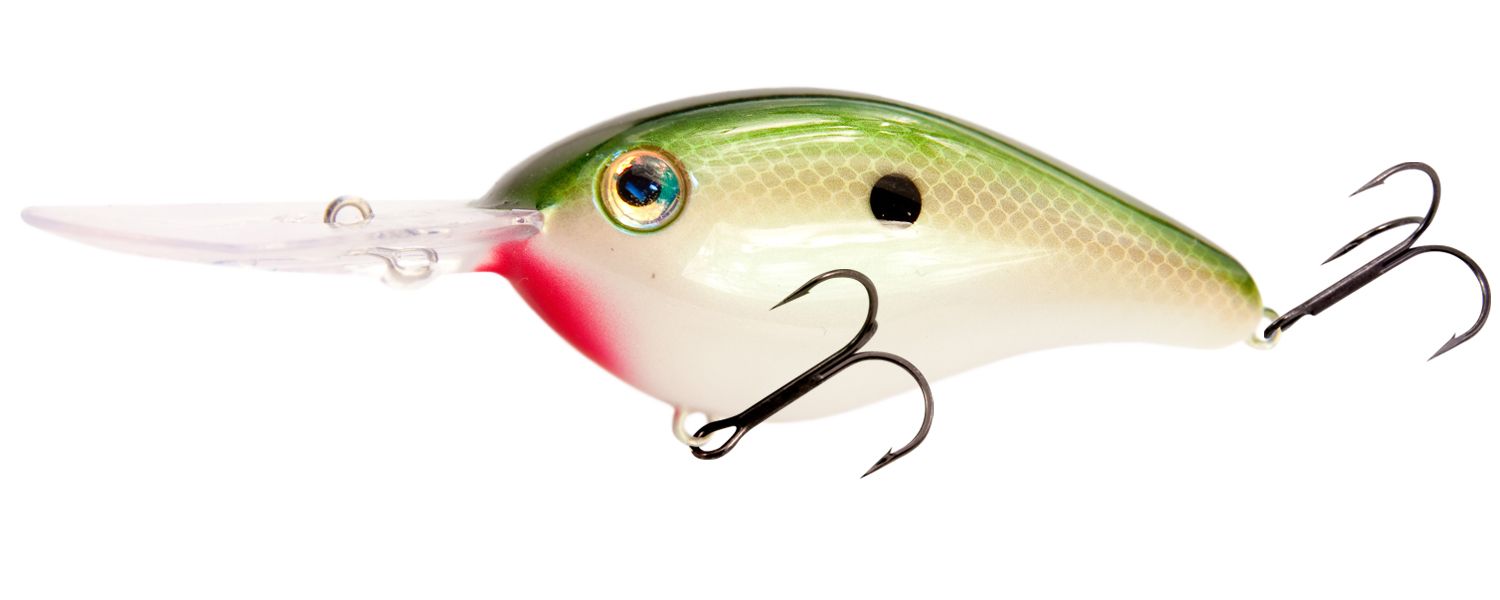 TN Shad