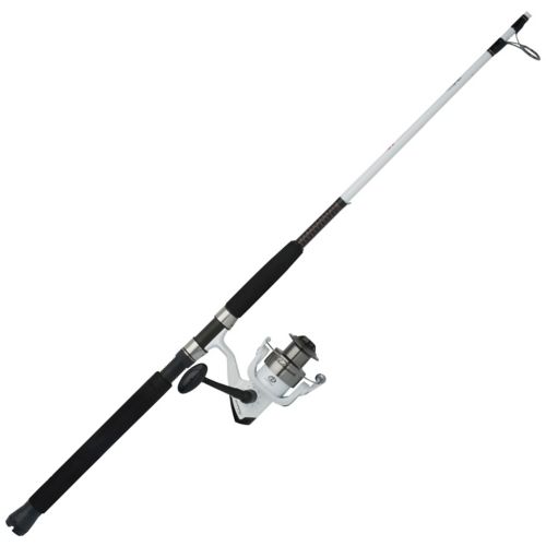 Daiwa BG Saltwater Spinning Combo | Publiclands