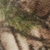 Realtree Xtra