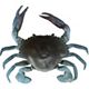 Blue Crab