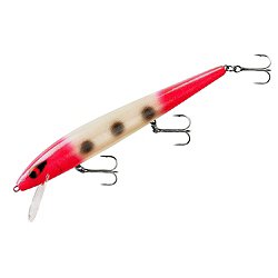 Rogue Fishing Lure  DICK's Sporting Goods