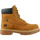 Wheat