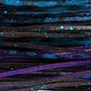 Black/Blue/Purple