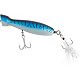 Blue Mackerel
