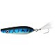 Blue Mackerel