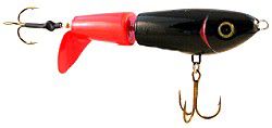 Black Firetail