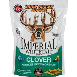 Whitetail Institute Imperial Whitetail Clover