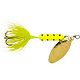 Copper Chartreuse Dalmatian