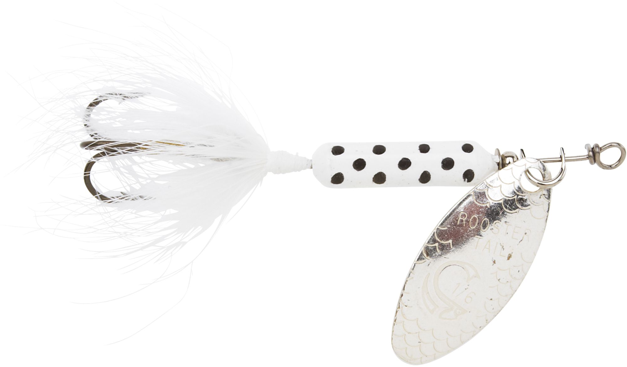 White Dalmatian