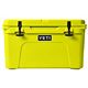 Firefly Yellow