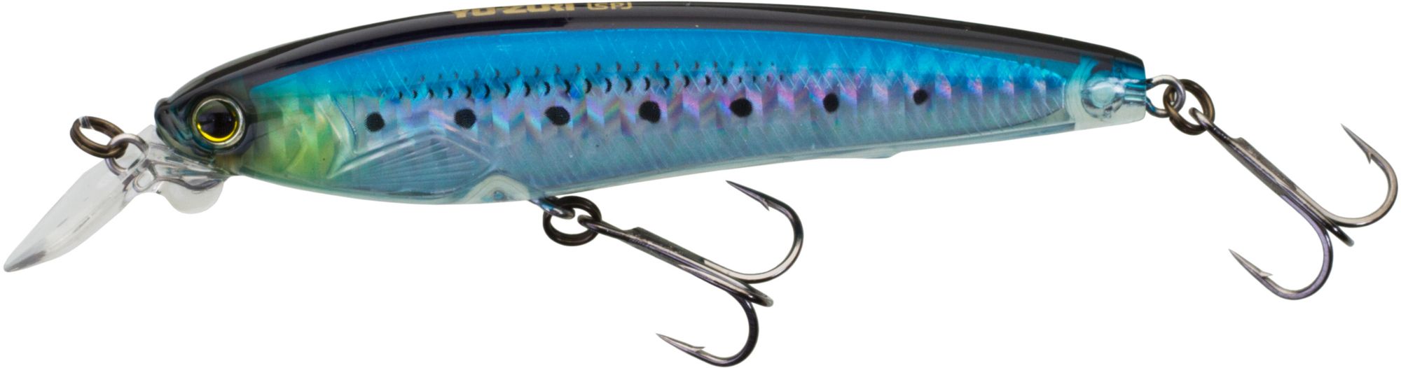 Holographic Sardine